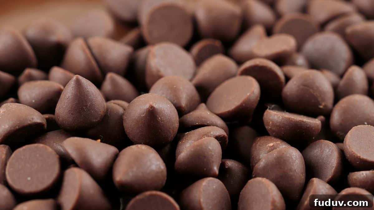 Chocolate Chips