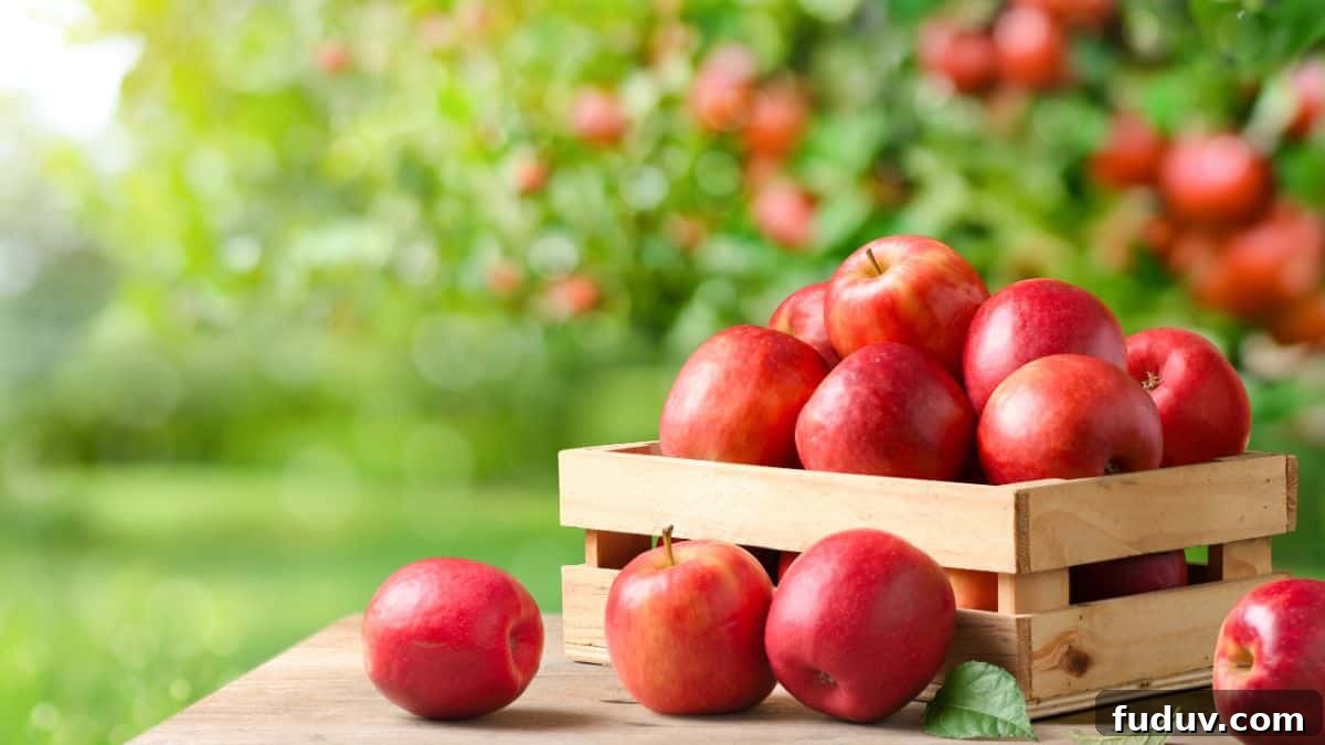 Apples