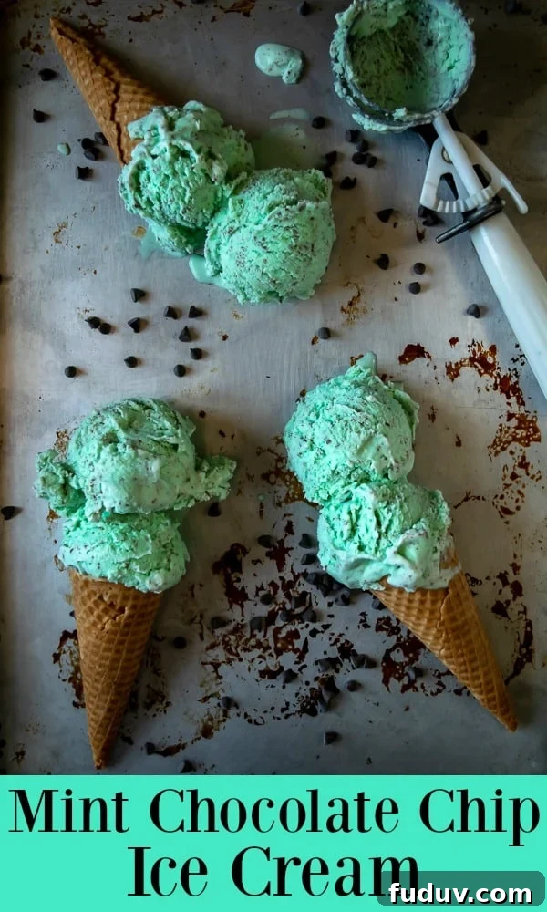 Homemade Mint Chocolate Chip Ice Cream