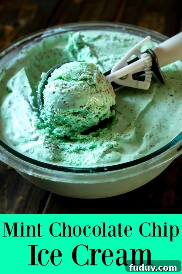 Homemade Mint Chocolate Chip Ice Cream