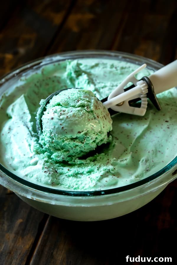 An ice cream scoop full of homemade Mint Chocolate Chip Ice Cream