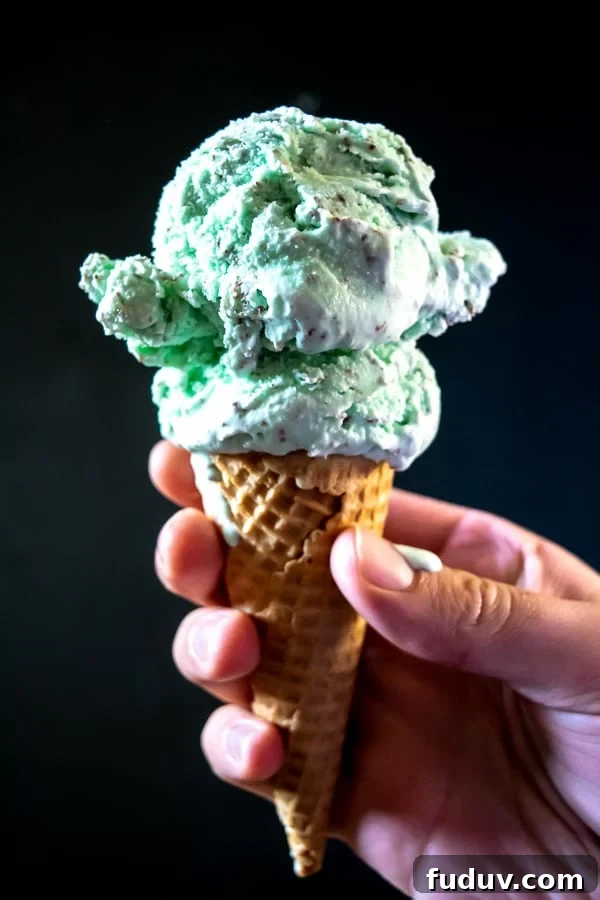 A cone full of homemade Mint Chocolate Chip Ice Cream