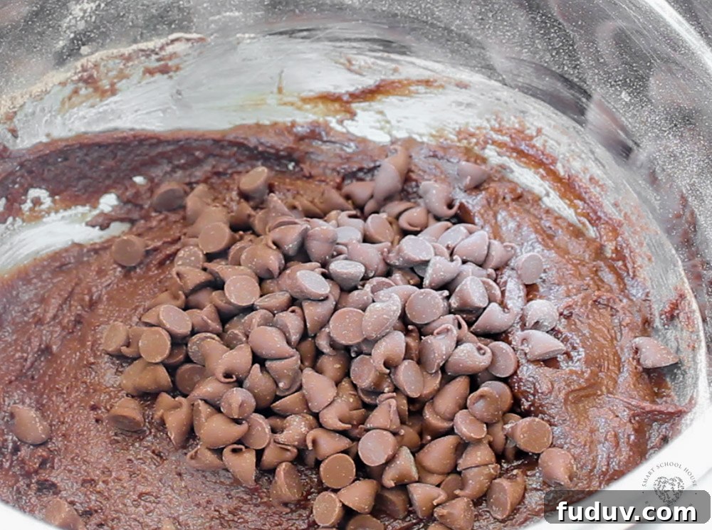 Classic Homemade Brownie Recipe for Fudgy, Chewy Results 4 Brownies with Chocolate Chips
