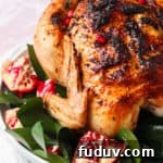 cooked chicken side view