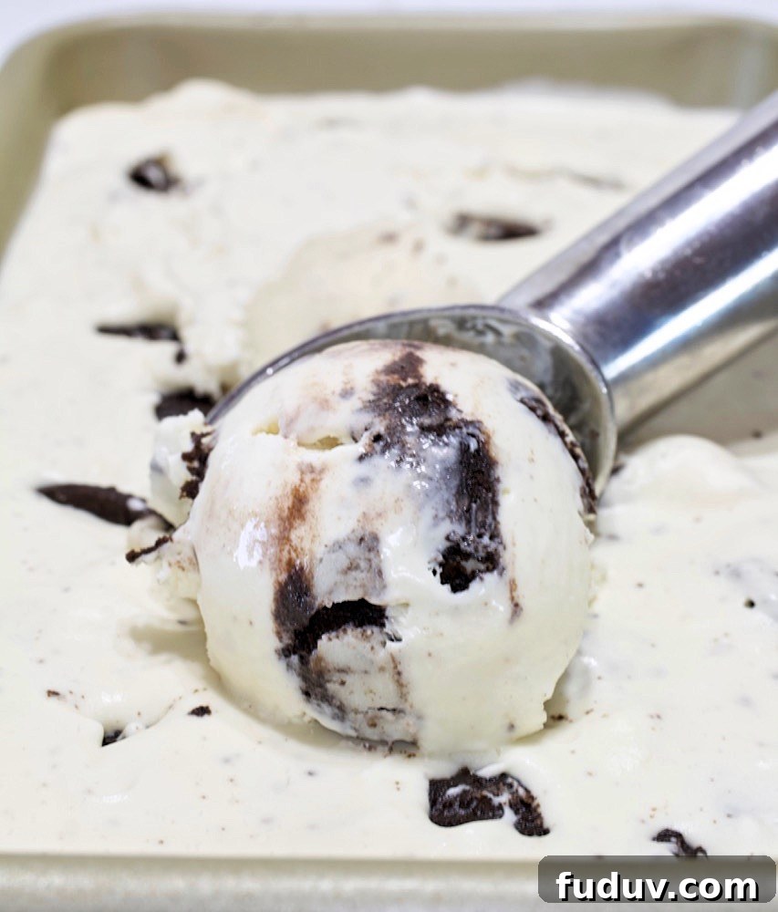 Cookies and Cream Ice Cream.
