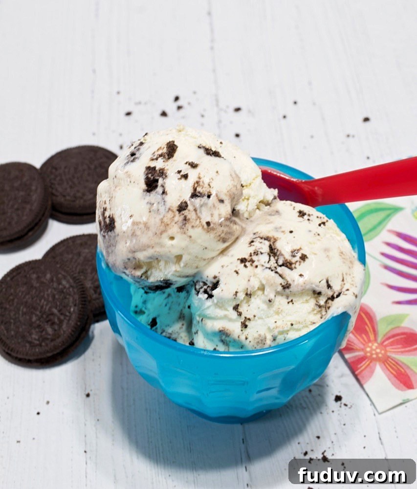 Cookies and Cream Ice Cream.