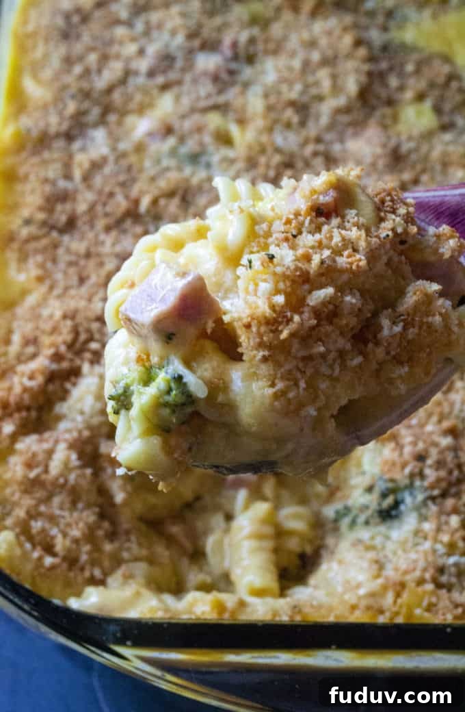 Cheesy Ham and Broccoli Pasta Bake — Weeknight Dinner Idea 2 Broccoli Ham and Cheese Casserole