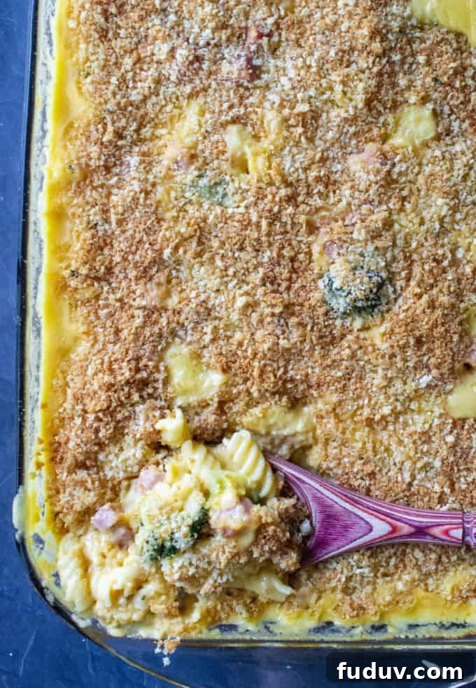 Cheesy Ham and Broccoli Pasta Bake — Weeknight Dinner Idea 3 Broccoli Ham and Cheese Casserole is a classic family favorite.