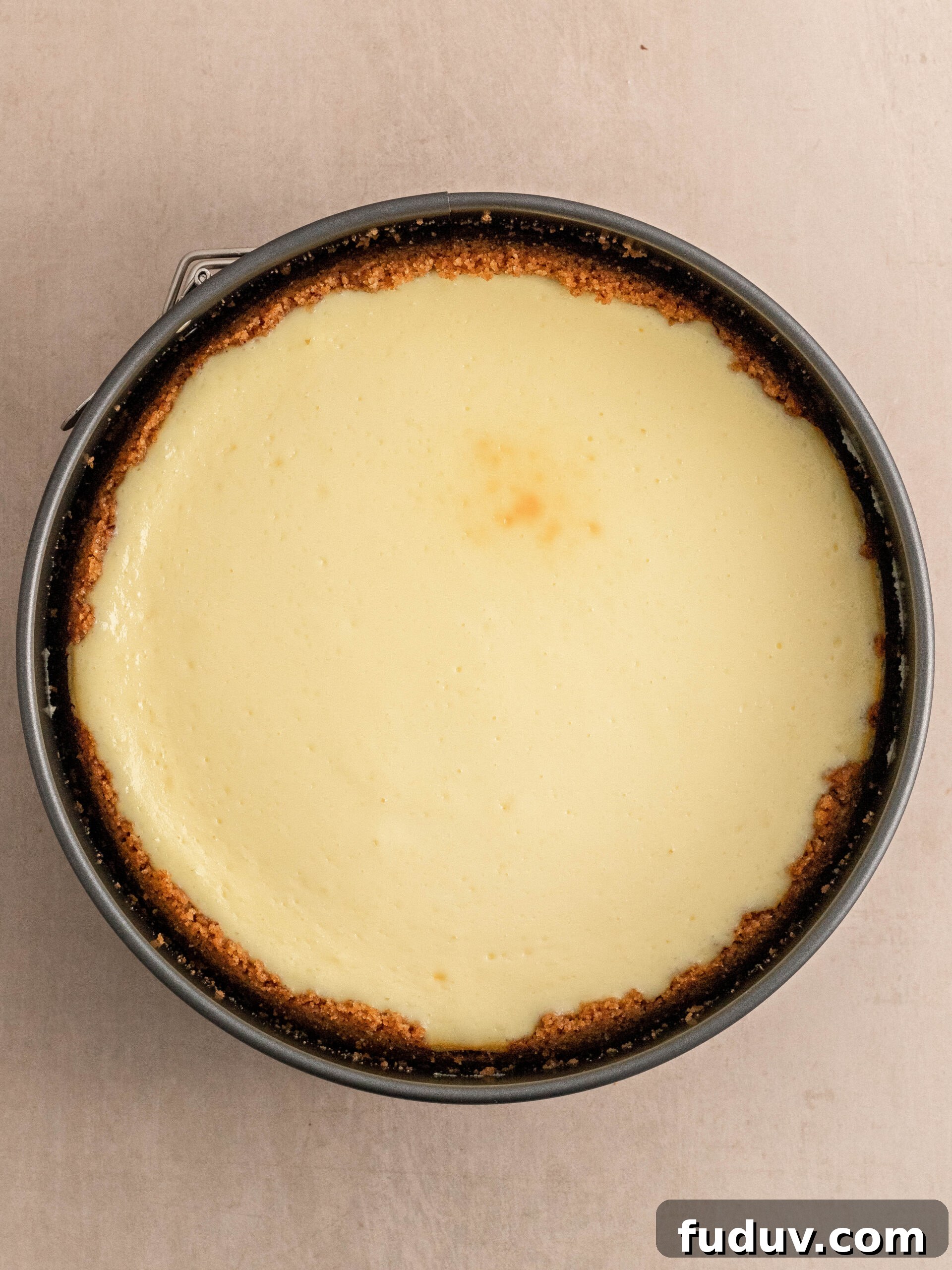 Step 7. Let the cheesecake cool down.