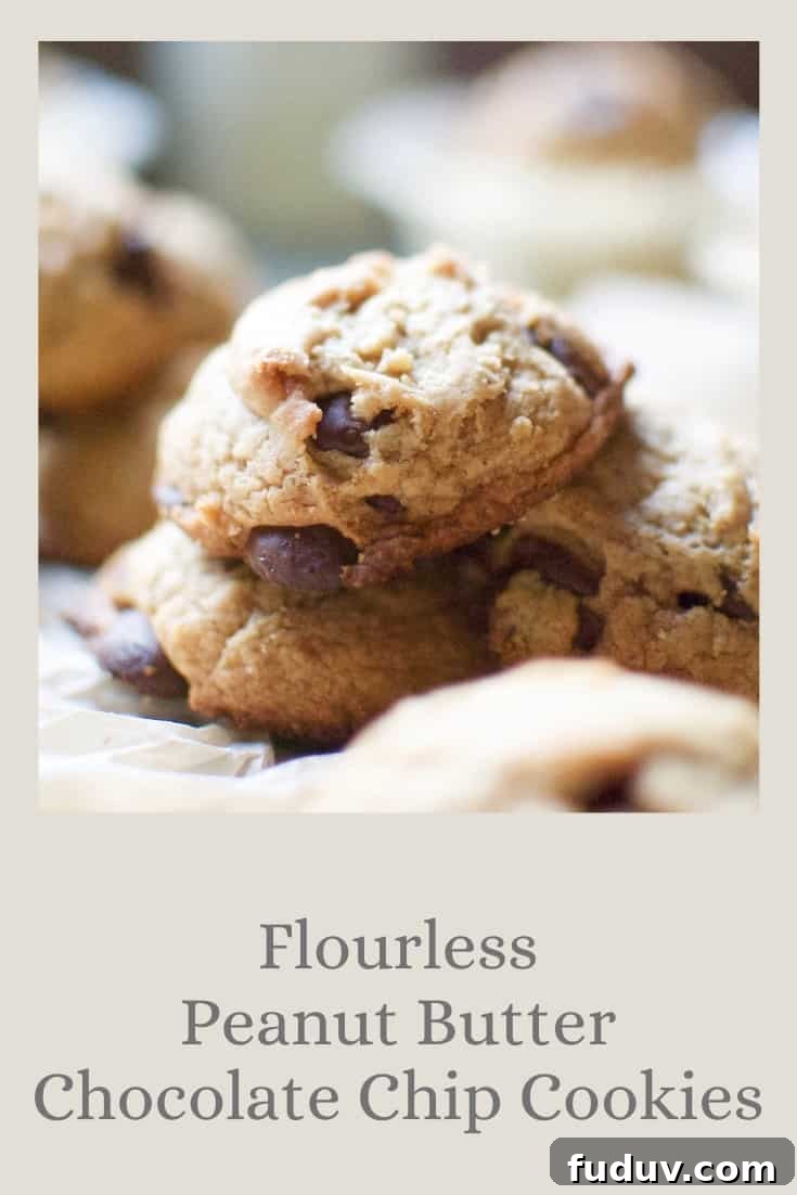 Flourless Peanut Butter Chocolate Chip Cookies