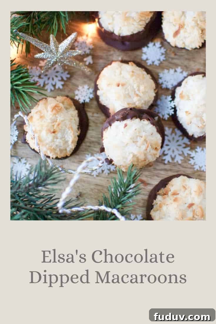 Elsa's Chocolate Dipped Macaroons