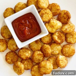 air fryer tater tots on white plate with dish of ketchup