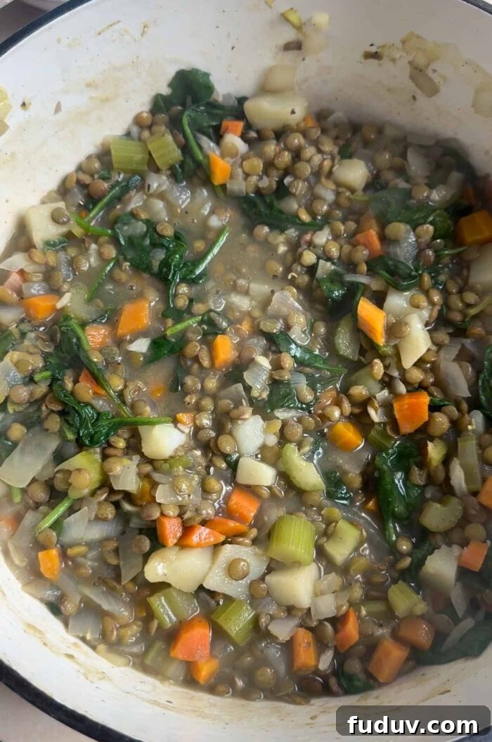 Hearty vegan lentil stew with potatoes cooking in a large pot.