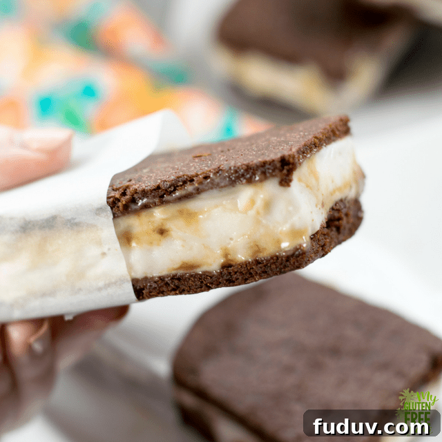 DIY Ice Cream Sandwiches