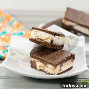 gluten free ice cream sandwich