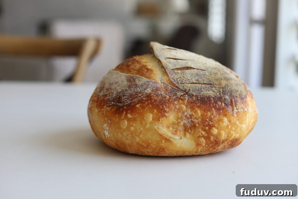 beautiful loaf of dutch oven sourdough bread