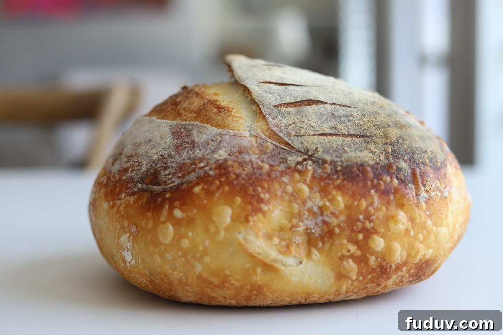 beautiful loaf of dutch oven sourdough bread
