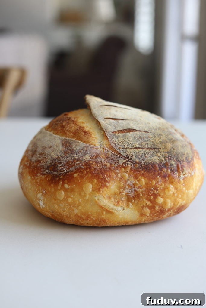 beautiful loaf of crusty sourdough dutch oven bread vertical view