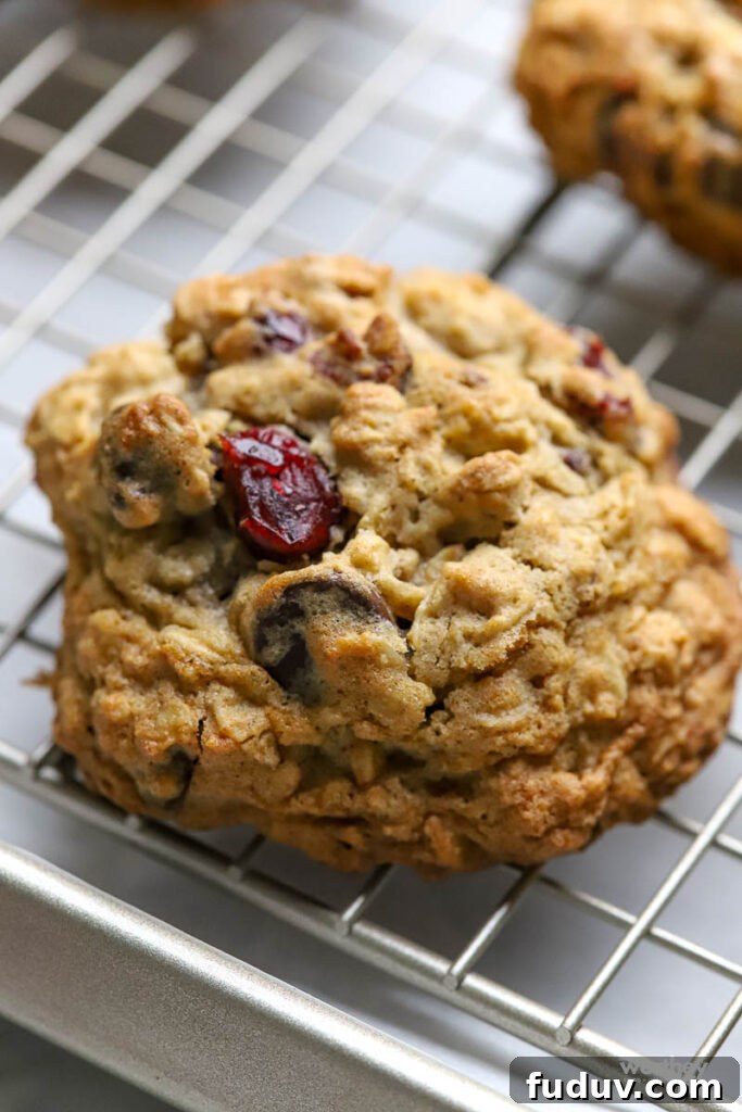 Chewy Oatmeal Cookies with Cranberries and Chocolate Chips 2 Oatmeal Cranberry Chocolate Chip Cookies