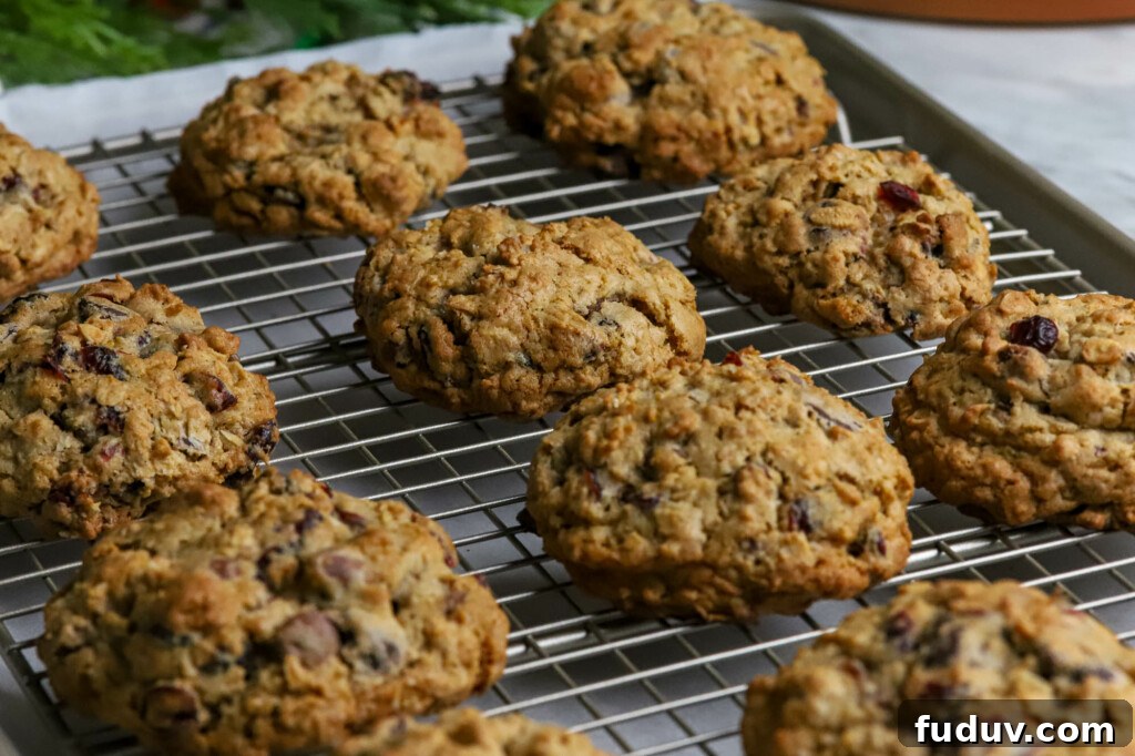 Chewy Oatmeal Cookies with Cranberries and Chocolate Chips 3 Oatmeal-Cranberry-Chocolate-Chip-Cookies