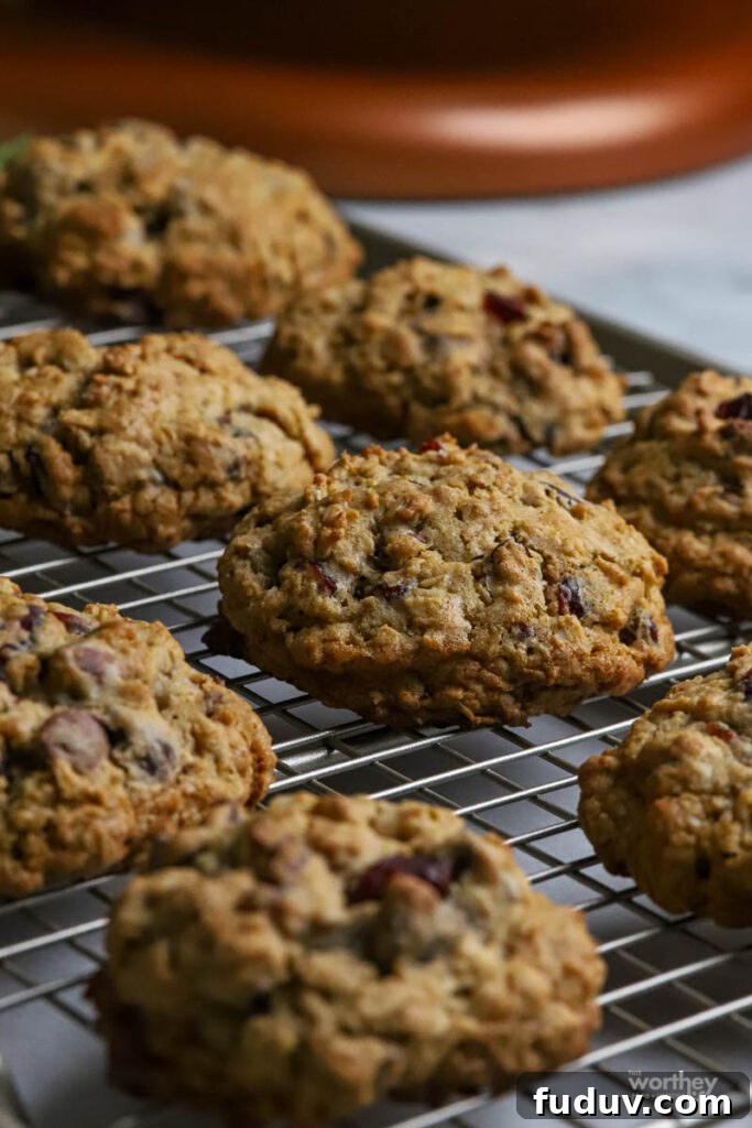 Chewy Oatmeal Cookies with Cranberries and Chocolate Chips 5 Cranberry & Chocolate Chunk Oatmeal Cookies