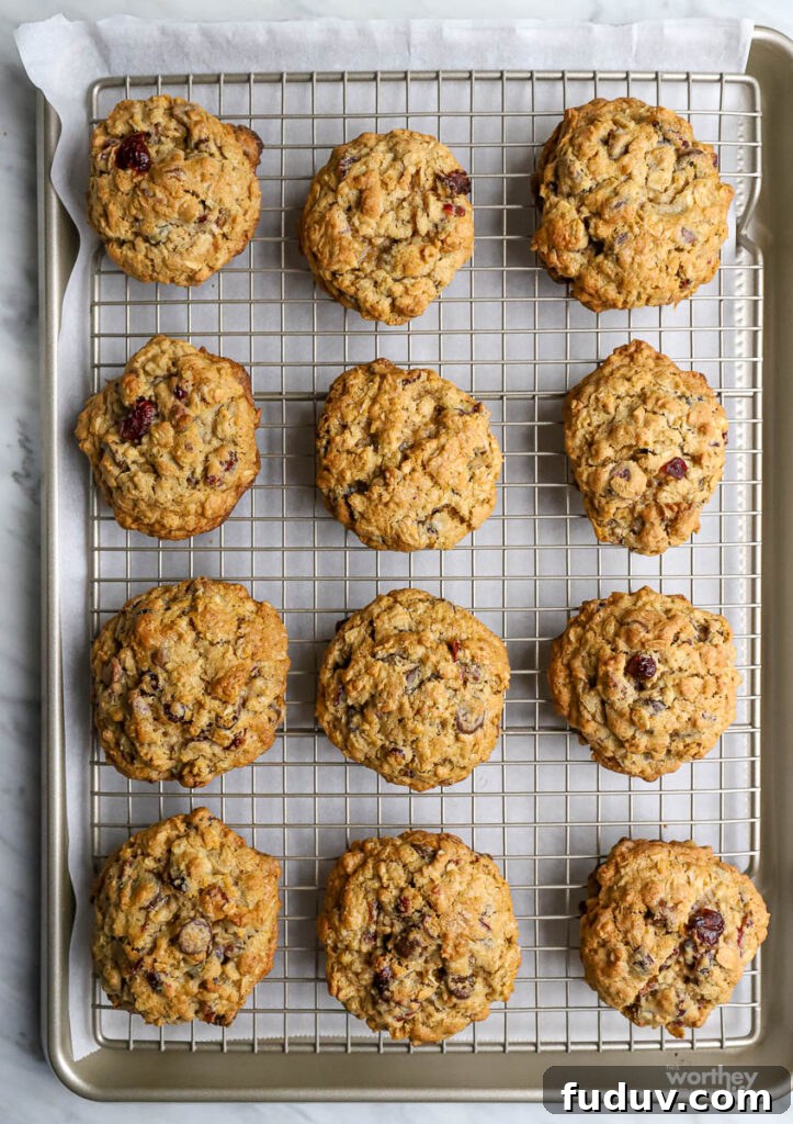 Chewy Oatmeal Cookies with Cranberries and Chocolate Chips 6 fresh baked cookies on a baking sheet