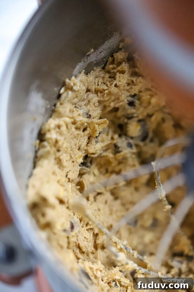 Chewy Oatmeal Cookies with Cranberries and Chocolate Chips 8 Cookie Dough in KitchenAid Mixer