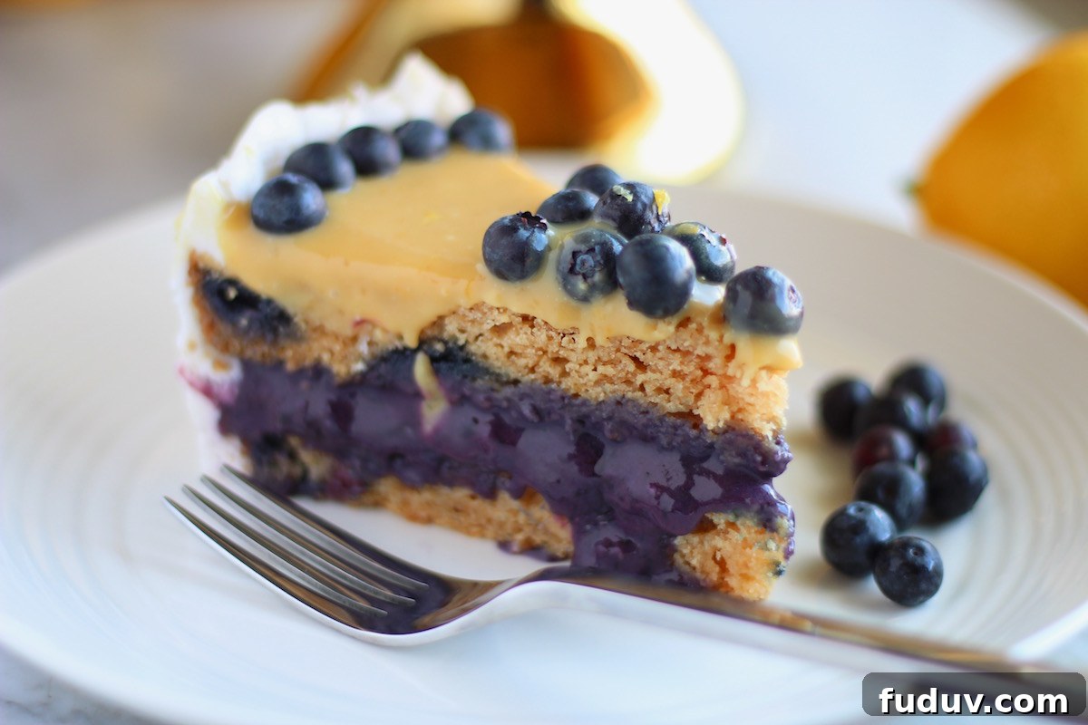 Paleo Lemon Blueberry Layer Cake (AIP) — Worth the Wait 3 Paleo Lemon Blueberry Layer Cake (AIP) - this lemony sponge cake is filled with juicy cooked blueberries, frosted with coconut cream, and topped with a luscious lemon puree! Yum! | fedandfulfilled.com