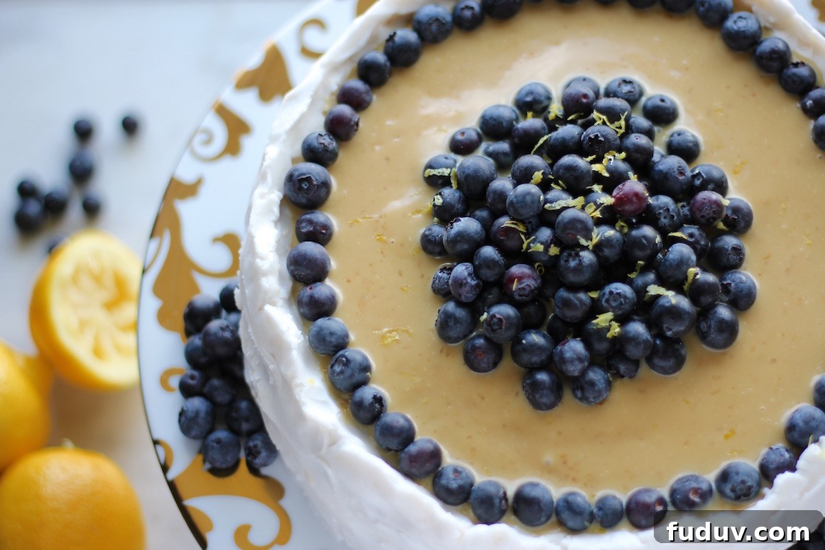 Paleo Lemon Blueberry Layer Cake (AIP) — Worth the Wait 4 Paleo Lemon Blueberry Layer Cake (AIP) - a show-stopping layer cake that is perfect for any special occasion! Full of juicy blueberries and bright lemon flavor! | fedandfulfilled.com