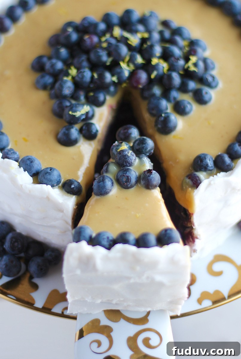 Paleo Lemon Blueberry Layer Cake (AIP) — Worth the Wait 5 Paleo Lemon Blueberry Layer Cake (AIP) - this grain-free, dairy-free, egg-free cake is loaded with fresh blueberries, lemon juice, and whipped coconut cream! So delicious! | fedandfulfilled.com