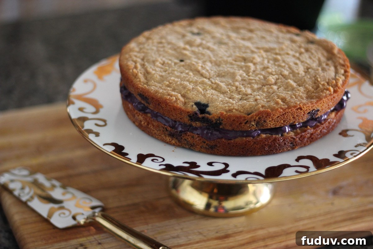 Paleo Lemon Blueberry Layer Cake (AIP) — Worth the Wait 8 Paleo Lemon Blueberry Layer Cake (AIP) - a lovely lemon blueberry cake that is allergy-friendly and crowd-pleasing! | fedandfulfilled.com