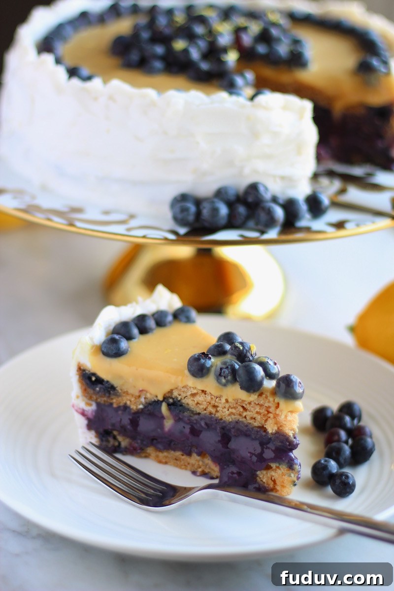 Paleo Lemon Blueberry Layer Cake (AIP) — Worth the Wait 10 Paleo Lemon Blueberry Layer Cake (AIP) - this grain-free, dairy-free, nut-free, and egg-free cake is absolutely out of this world! | fedandfulfilled.com