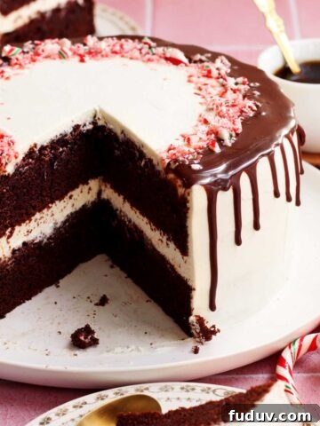 chocolate peppermint cake