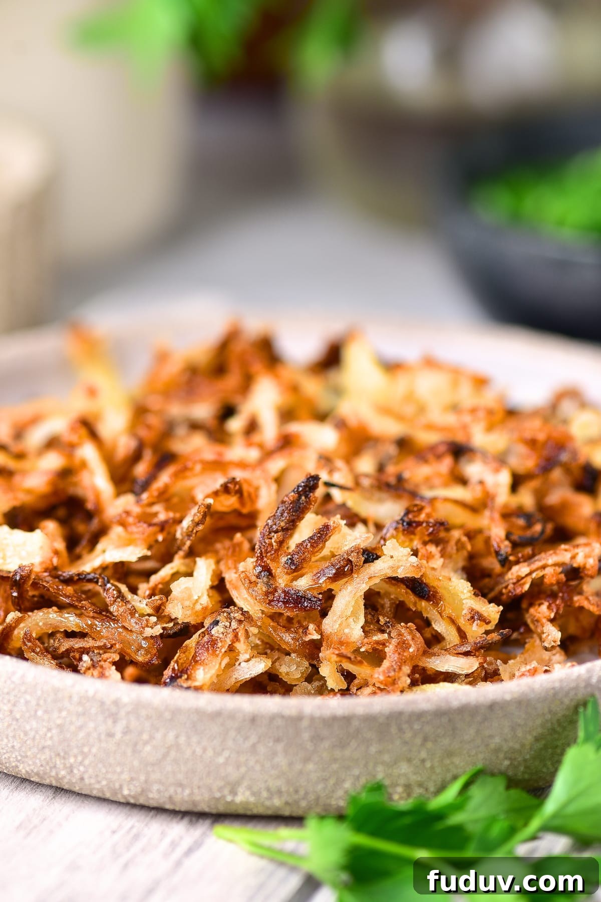 A plate of gluten-free dairy-free fried onions. 