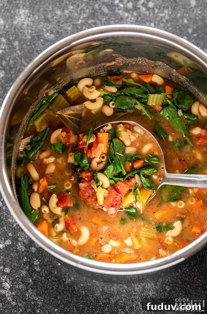 Minestrone Soup in Instant Pot with a ladle