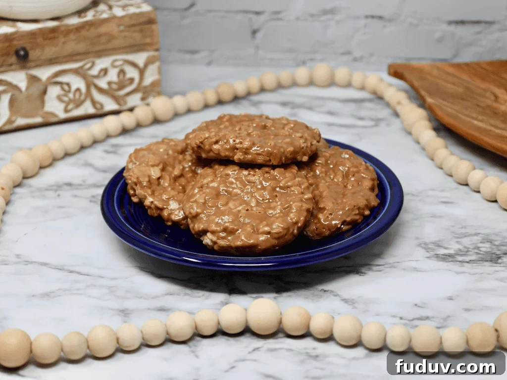 Homemade Star Crunch Cookies Recipe — Little Debbie Copycat 6 recipe for Star Crunch