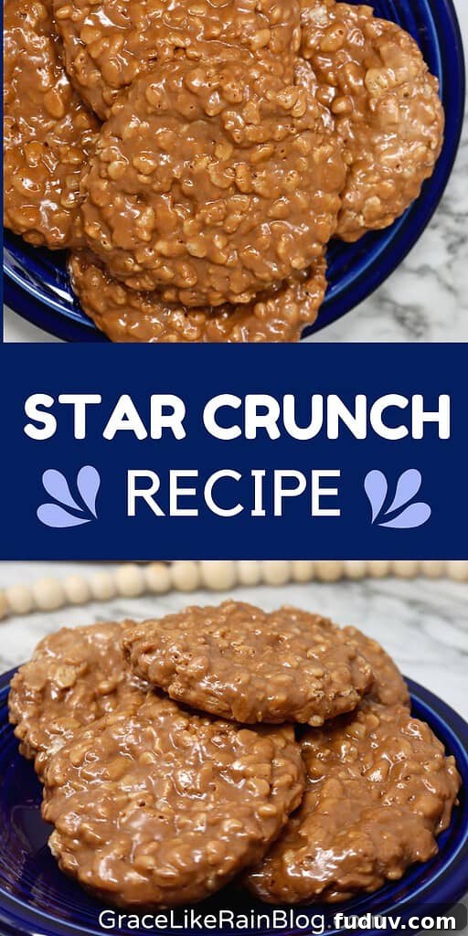 Homemade Star Crunch Cookies Recipe — Little Debbie Copycat 7 Little Debbie Star Crunch recipe
