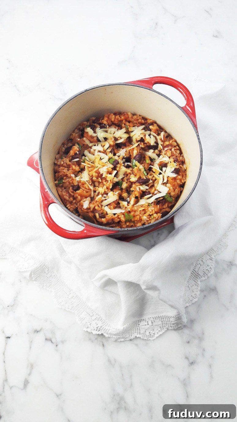 Cajun brown rice and beans recipe. Full of spice and flavor! Easy to make, nutritious and satisfying.