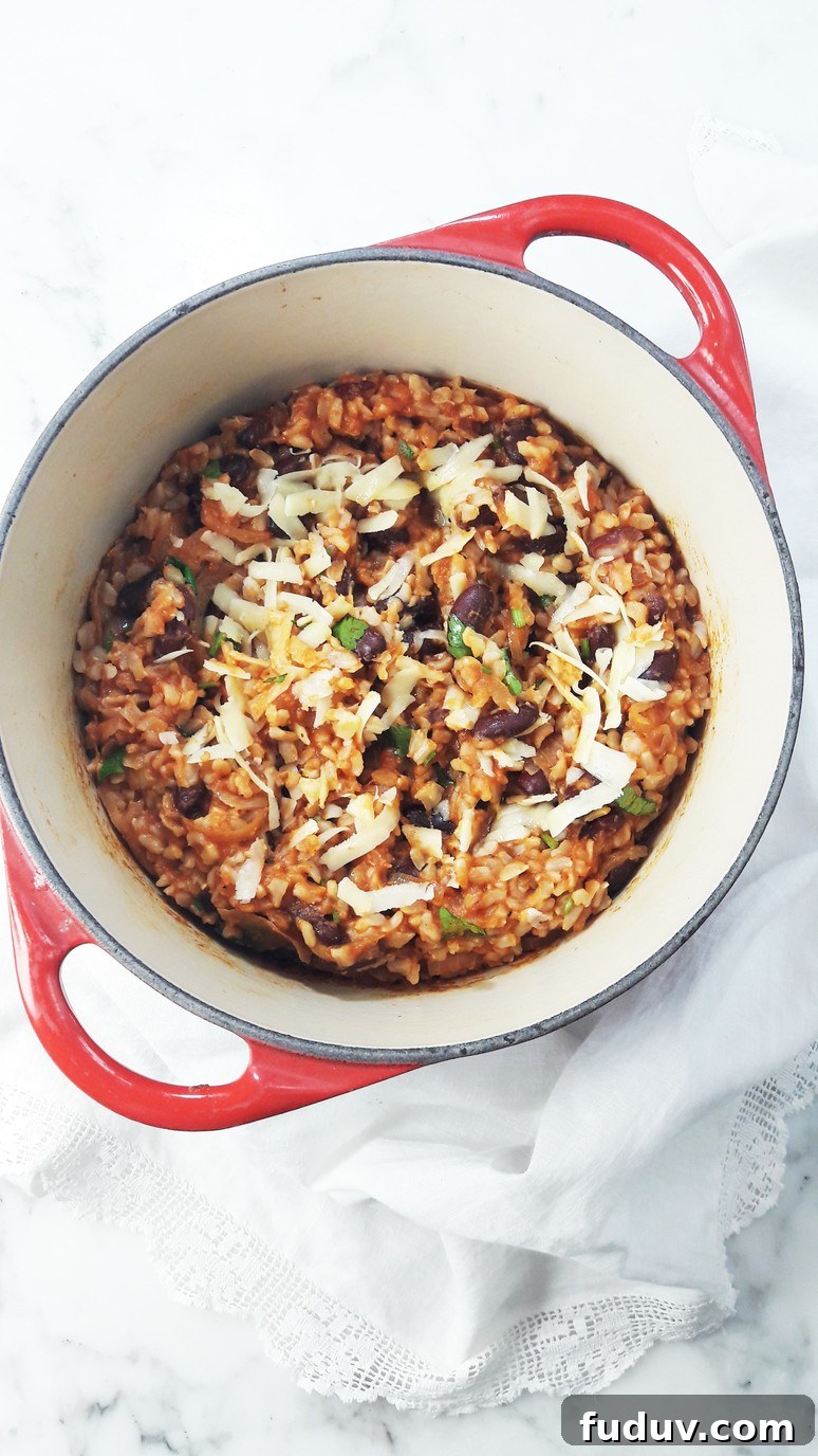 Cajun brown rice and beans recipe. Full of spice and flavor! Easy to make, nutritious and satisfying.