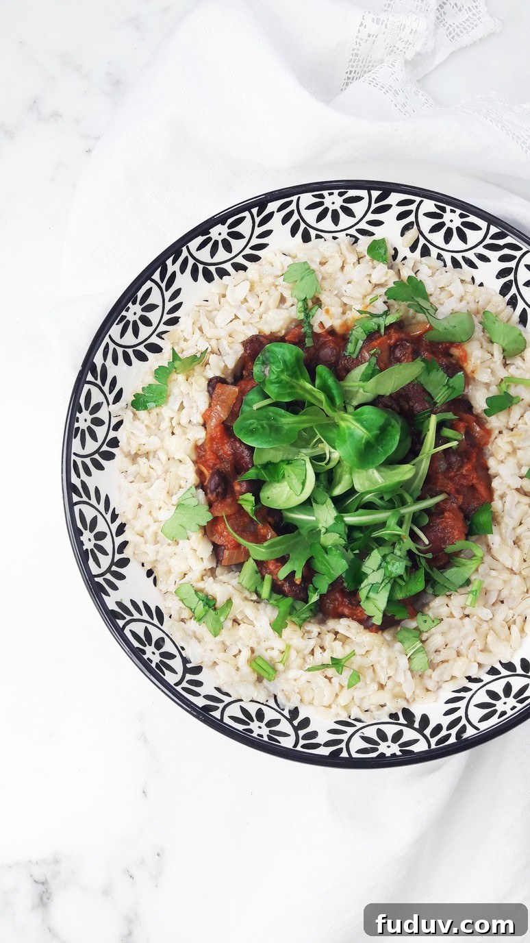 Cajun brown rice and beans recipe. Full of spice and flavor! Easy to make, nutritious and satisfying.