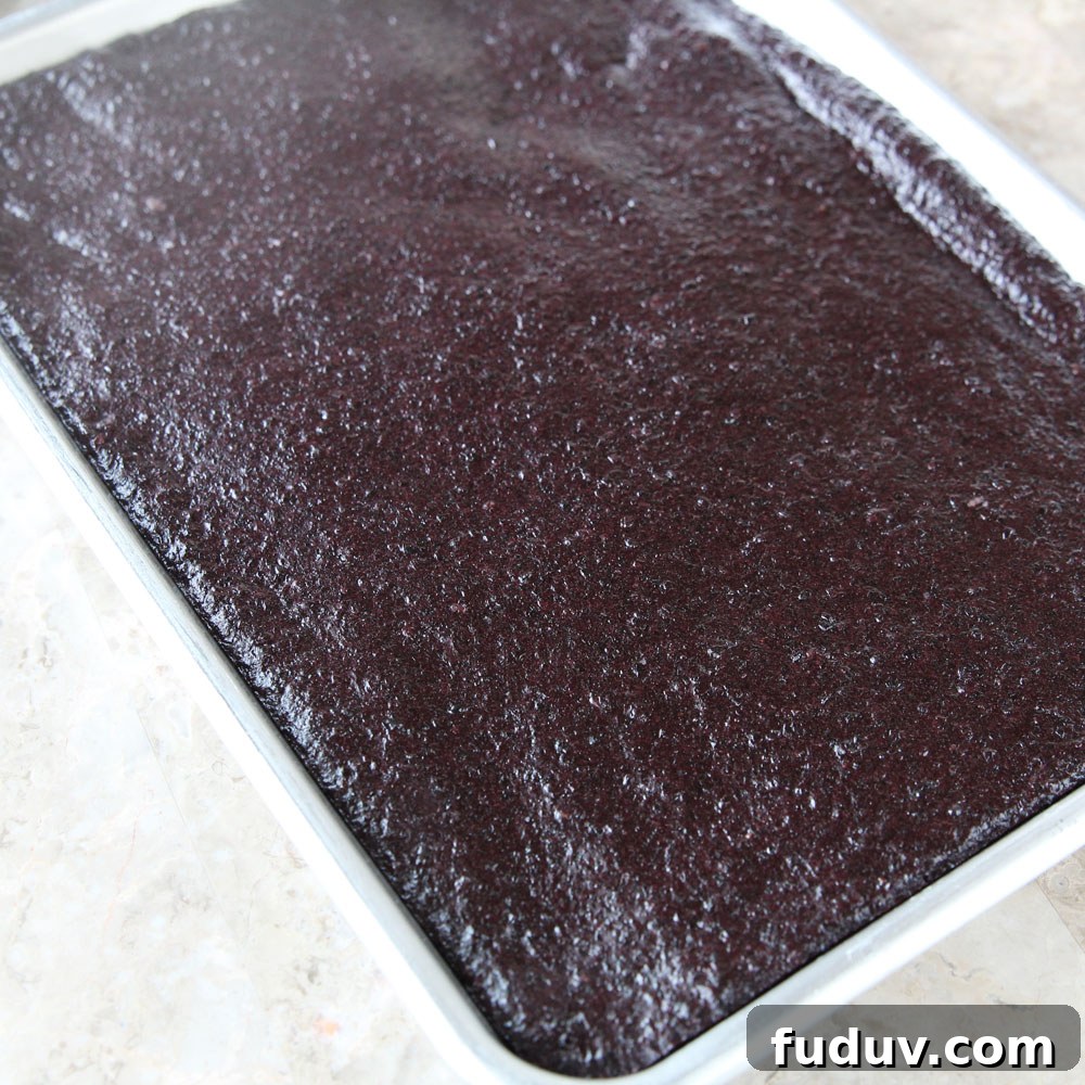 Glutinous Wild Black Rice Mochi (Using a Mochi Maker)