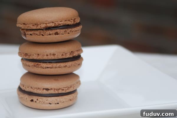 chocolate macarons.