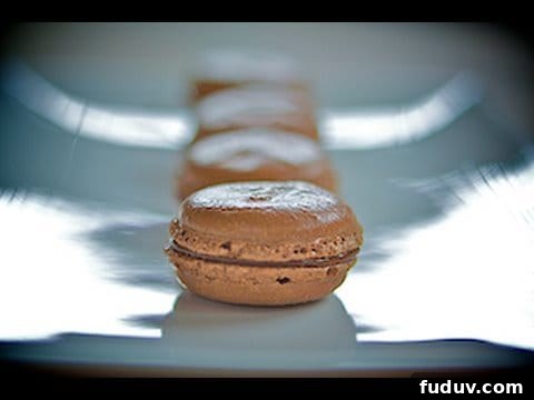chocolate macarons