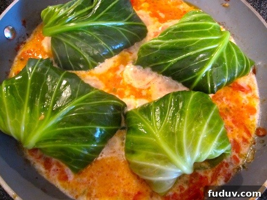 Stuffed Cabbage Cooking