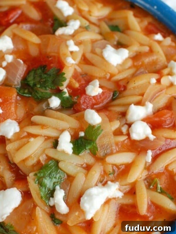 One Pot Creamy Tomato Herb Orzo in a blue bowl