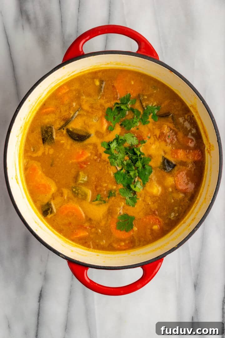 Overhead view of vegan sambar topped with cilantro leaves