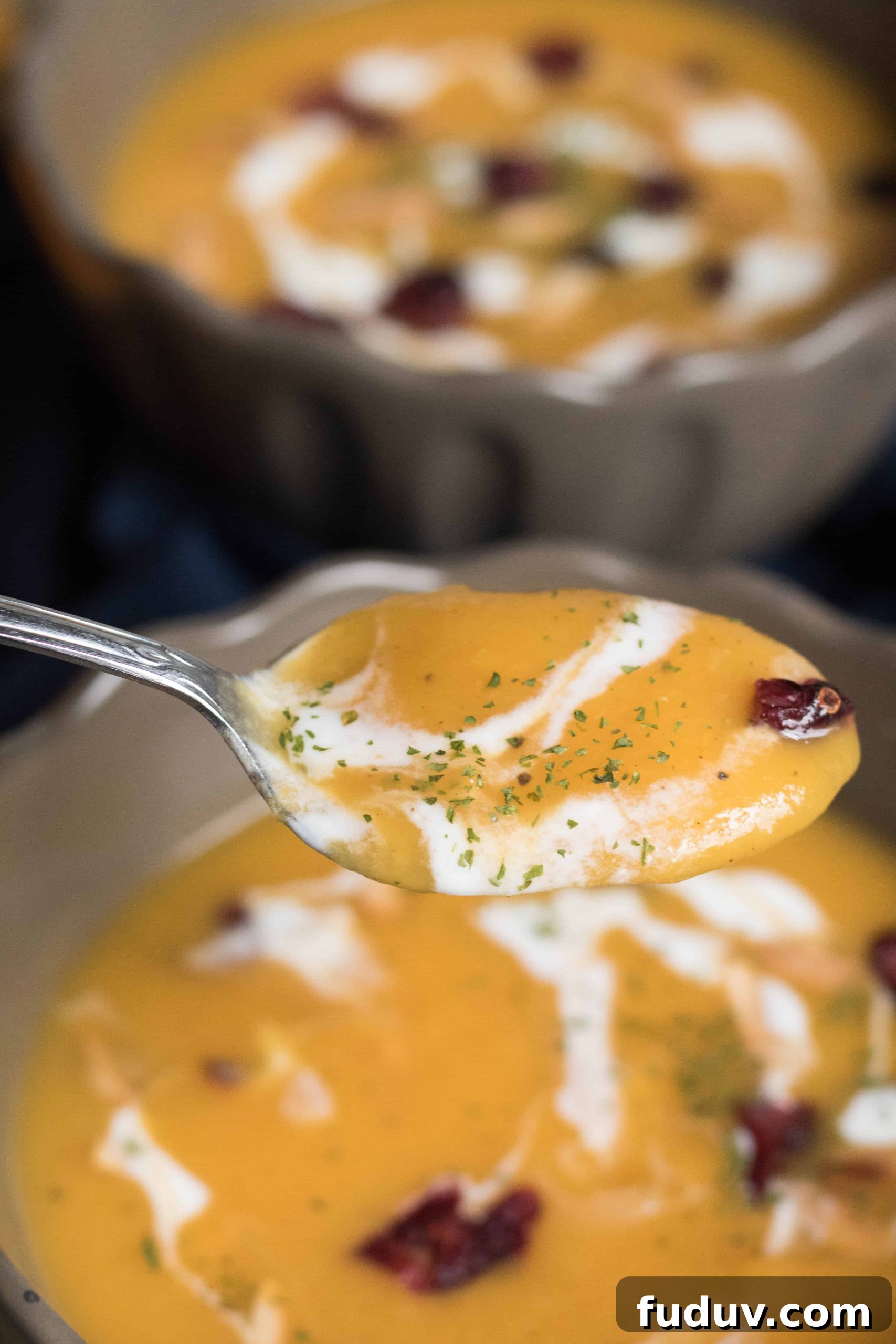 Butternut Squash and Apple Fall Soup Recipe 5 delicious butternut squash soup