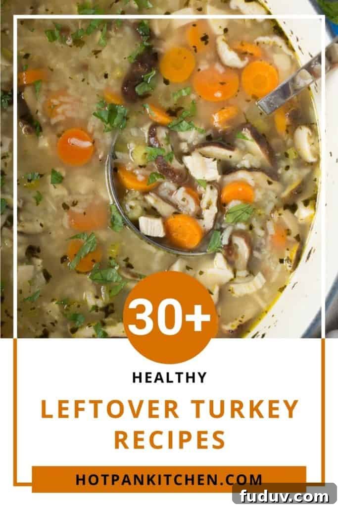 30+ Delicious Recipes to Transform Leftover Turkey 2 pin for healthy leftover turkey recipe
