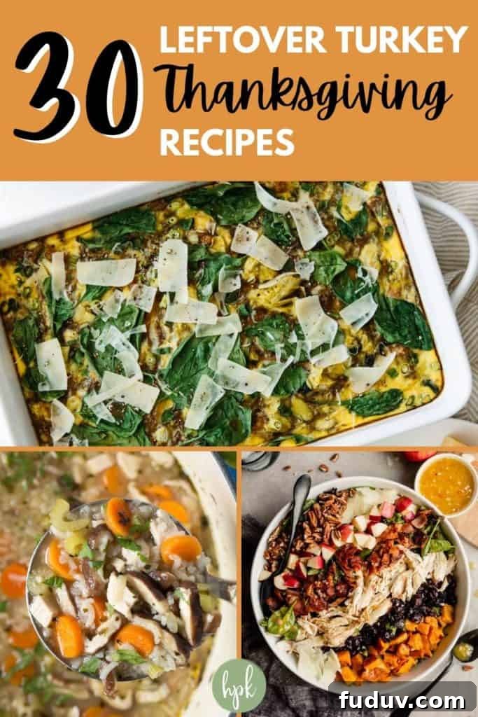 30+ Delicious Recipes to Transform Leftover Turkey 8 pin for healthy leftover turkey recipes