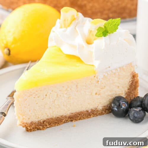A slice of Lemon Cheesecake topped with whipped cream, fresh mint, a lemon garnish, and juicy blueberries on a plate.
